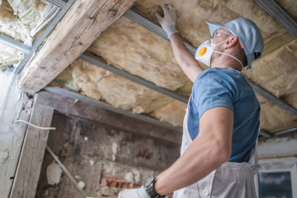 Best Commercial Insulation in Timberlane, IL