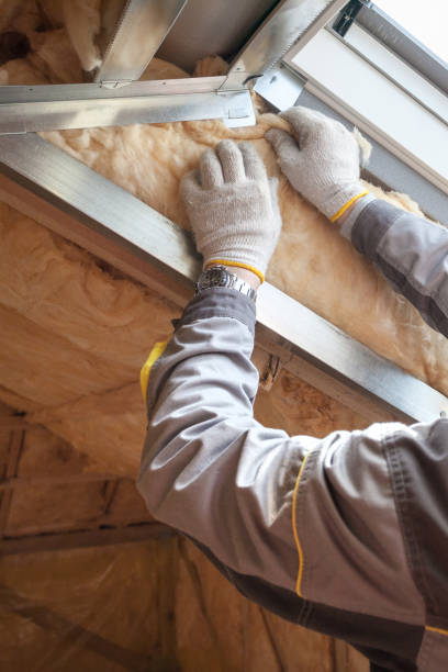 Best Residential Insulation in Timberlane, IL