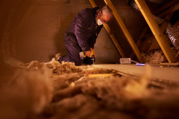 Best Insulation Maintenance and Repair in Timberlane, IL